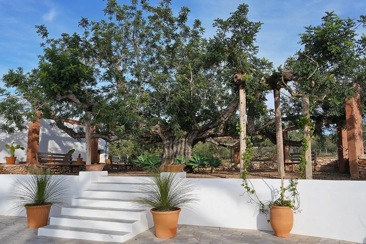 Villa Can Vicent 샌안토니오 스페인